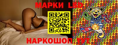 MDMA Premium VHQ Камышлов