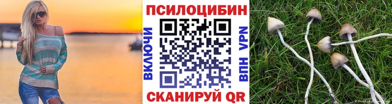 Псилоцибиновые грибы Cubensis  мориарти как зайти  Барабинск 