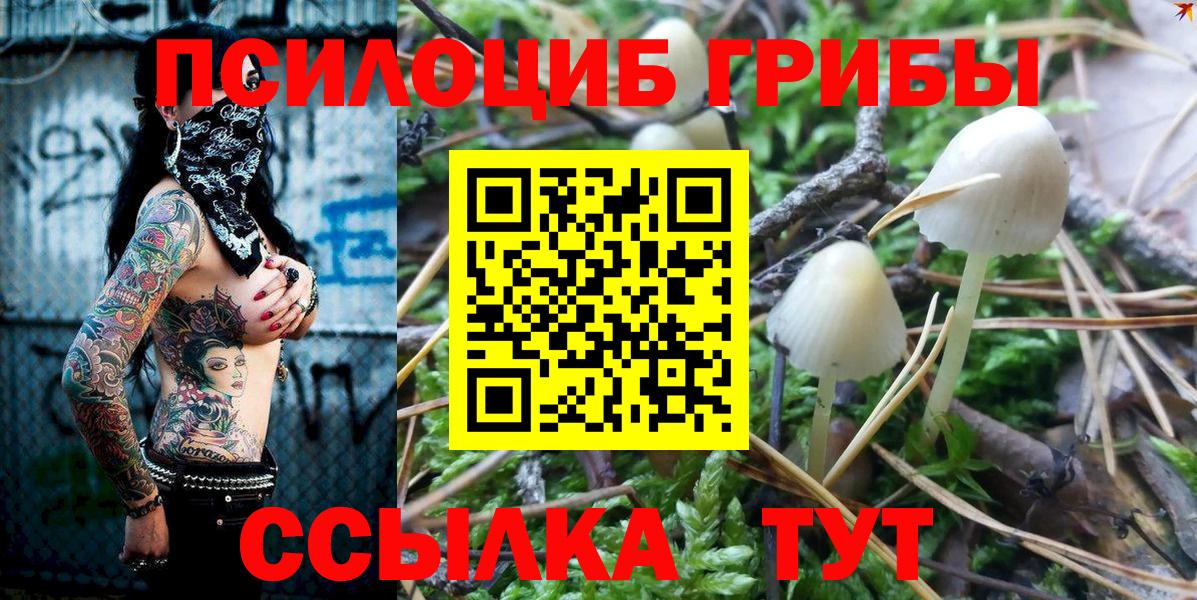 Галлюциногенные грибы Magic Shrooms  Барабинск 