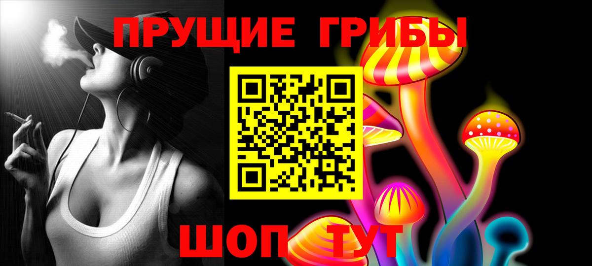 Псилоцибиновые грибы Cubensis Барабинск